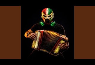 Accordion Edm 28