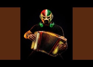 Accordion Edm 28