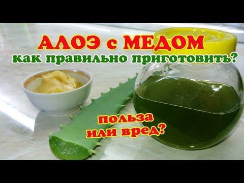 Aloe Vera And Honey Treatment How To Prepare And Take It Properly