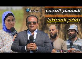  ربنا نصر الدكتورة سحر غزال القيراط انتج ٥٠ كيلو سمسم يعني الفدان ١٠ أردب لاول مرة