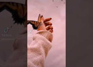   على نغمة رائعة