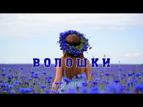 Волошки LuckyUAMusic
