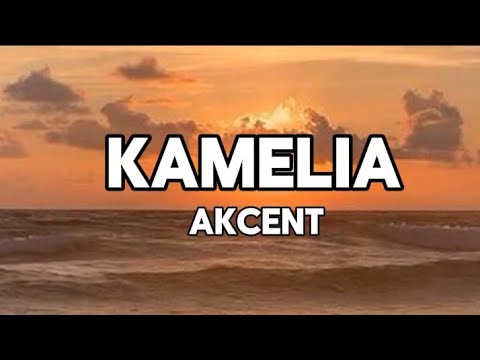 Akcent Kamelia Lyrics