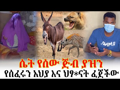 ሴት የሰው ጅ ብ ተያዘች የሰፈሩን አህያ እና ህፃ ናት ቀርጥፋ በላ ችው ሴት የሰው ጅ ብ ተያዘች የሰፈሩን አህያ እና ህፃ ናት ቀርጥፋ በላ ችው