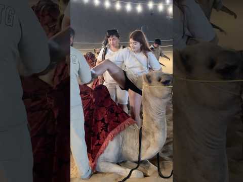 Camel Ride Shortsvideo Saharadesert Desertsafari Desert Desertadventures Deserttrip Love