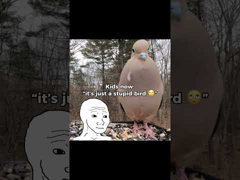 Such A Nostalgic Sound Nostalgia