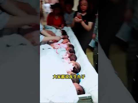 9 توائم عنجد