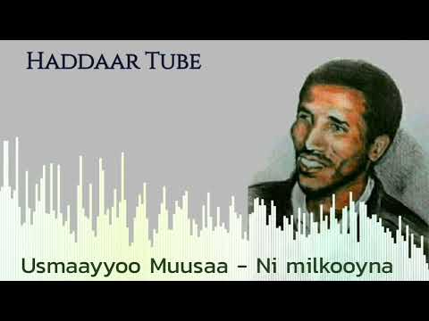 Best Oromo Music Usmaayyoo Muusaa Ni Milkooyna Haddaar Tube