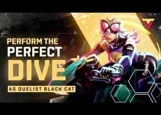 Black Cat How To Execute The PERFECT DIVE