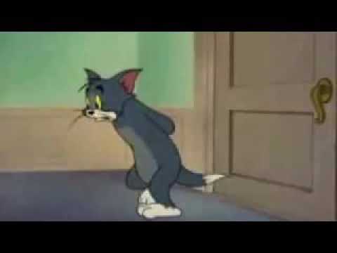 نغمة رنين هناك شخص تافه يتصل بك