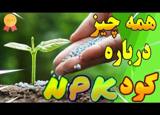 کود NPK چیست کود 202020