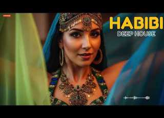 Habibi Arabic EDM 2026 Tech House Remix Desert Night