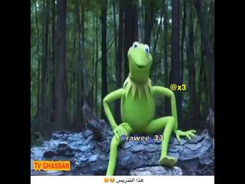 الصوت المزعج