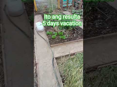 The Result Of 5 Days Vacation