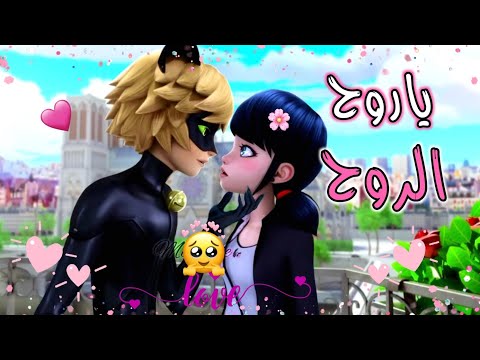 اغنية ياروح الروح مابعدك روح على حب مارينيت وادريان حب الدعسوقة والقط الأسود ميراكالوس