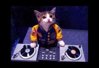 유로댄스 Eurodance 영등포 카네기 1집 히트곡 Dj성환 Mega Mix 유로댄스 Eurodance 영등포 카네기 1집 히트곡 Dj성환 Mega Mix