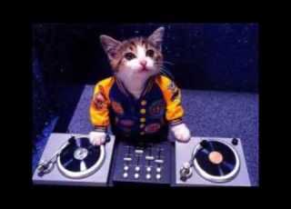 유로댄스 Eurodance 영등포 카네기 1집 히트곡 Dj성환 Mega Mix