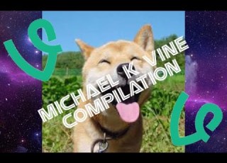 Michael K Top 100 Vines Compilation