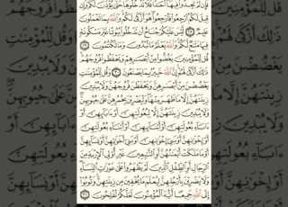  ماهر المعيقلي سورة النور مكتوبة صفحة 353 مصحف المدينة المنورة جودة عالية
