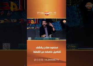  How Do Cats See Us Mahmoud Salah Reveals Shocking Details About Their Mysterious World