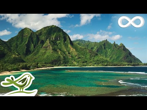 Fall Asleep Quickly Deep Sleep Music Meditation Music Relaxing Music Sleeping Music