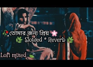 Mind Relax Lo Fi Bangla Mashup Lofi Songs Feel The Music Bangla Sad Gaan Slowed Reverb Sad Song