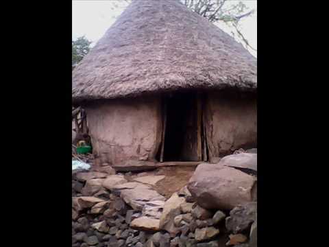 Kuye Halgete Areyecha Waqa Esiraeli 4