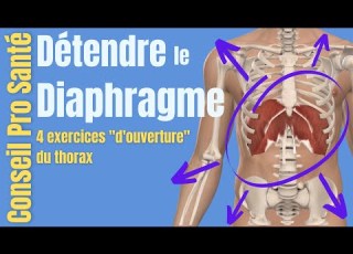 Atmung Zwerchfell 4 Übungen Um Den THORAX Zu ÖFFNEN