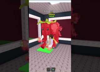  Oh No My Pipi Kiwi Roblox Stealabrainrot