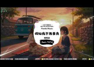 郑畅业 假如我不再善良 抖音DJ版 Jia Ru Wo Bu Zai Shan Liang 假如有一天 我不再善良 一定是善良 让我受了伤 動態歌詞 Pinyin Lyrics