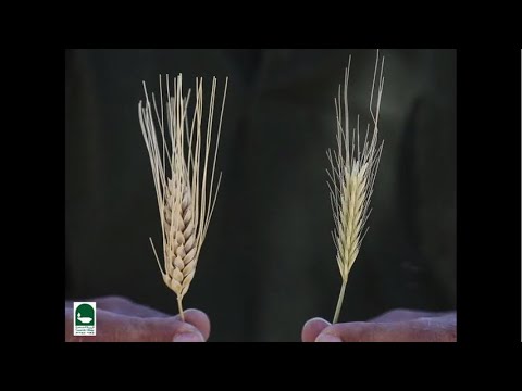 SHOCKING HEAVEN IS REPLACING YOUR STOLEN FORTUNES 2026 IS BEGINNING TO LOOK LIKE PRAISE