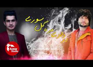  در دادی مره گل سوری معراج وفا