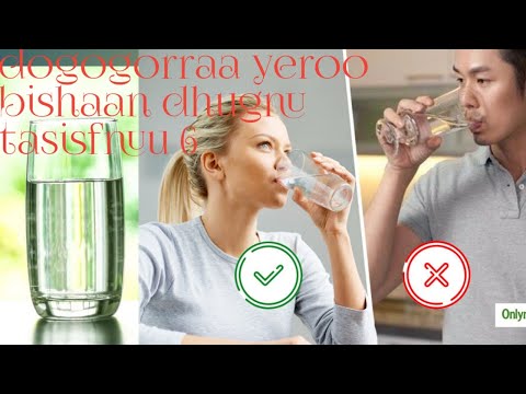 Dogogorraa Yeroo Bishaan Dhugnu Tasisfnuu Hawitube 12