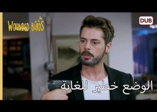  الوضع خطير للغاية الطيور المجروحة 161 مدبلج عربي