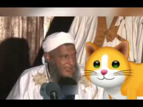 سائق بريطاني أسلم بسبب قطة سبحان الله قصة رائعة يحكيها ولد الددو