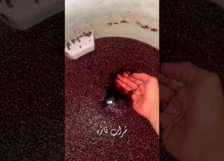 شراب ترش
