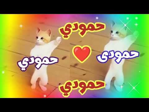 اغنيه باسم حمودي اغنية حمودي حمودي حمودي السعودية المغرب الجزائر العراق الخليج الاردن المغرب