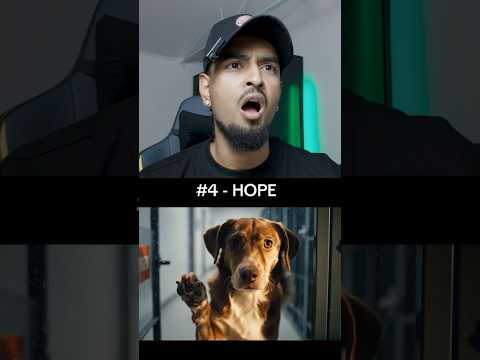 Wähle Einen Hund Aus Dem Tierheim Kaledai