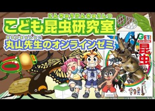  丸山宗利先生のこども昆虫研究室アーカイブ 第１回