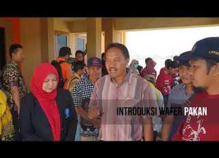 VIDEO KKN T IPB 2018 DESA BUARA KECAMATAN KETANGGUNGAN KABUPATEN BREBES