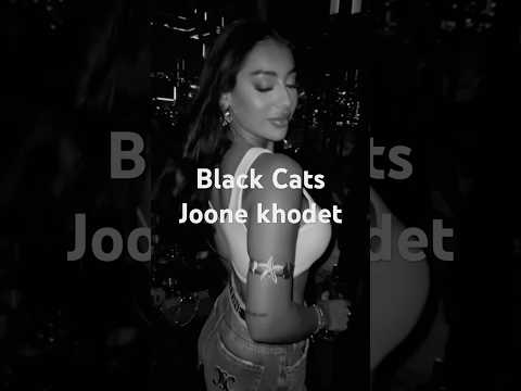 Black Cats Joone Khodet Short Video Black Cats Joone Khodet Short Video