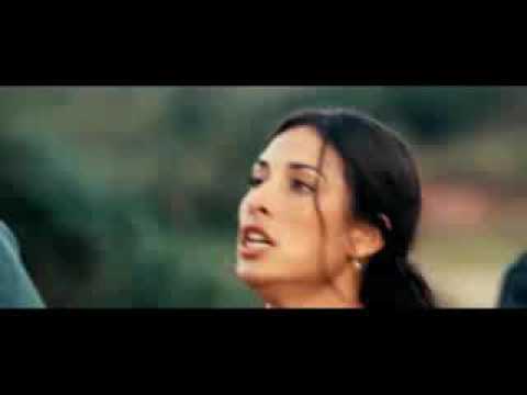 سيد صفاء صدك مسجون