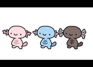 Wooper Walk Pokemon