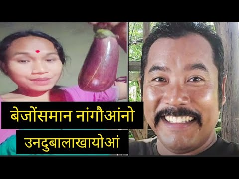 ब ज सम न न ग आ न उनद ब ल ख य आ