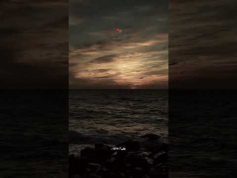 عيني وانا شايفه عايزه تاني ايه عمرو دياب