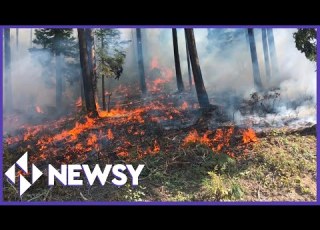  Understanding The Fire Paradox Why We Need Fire To Prevent Fire