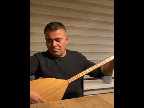 Hozan Dino Amir Kuda Co