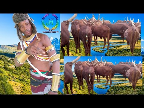 SHESHE NELEMI MBASANDO UJUMBE WA NZIKU Msambazaji Jileka Mapanda TV 2026 SHESHE NELEMI MBASANDO UJUMBE WA NZIKU Msambazaji Jileka Mapanda TV 2026