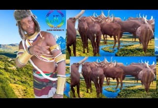 SHESHE NELEMI MBASANDO UJUMBE WA NZIKU Msambazaji Jileka Mapanda TV 2026