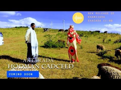 ALI DHAANTO NEW DHAANTO BOODH TIRA 2021